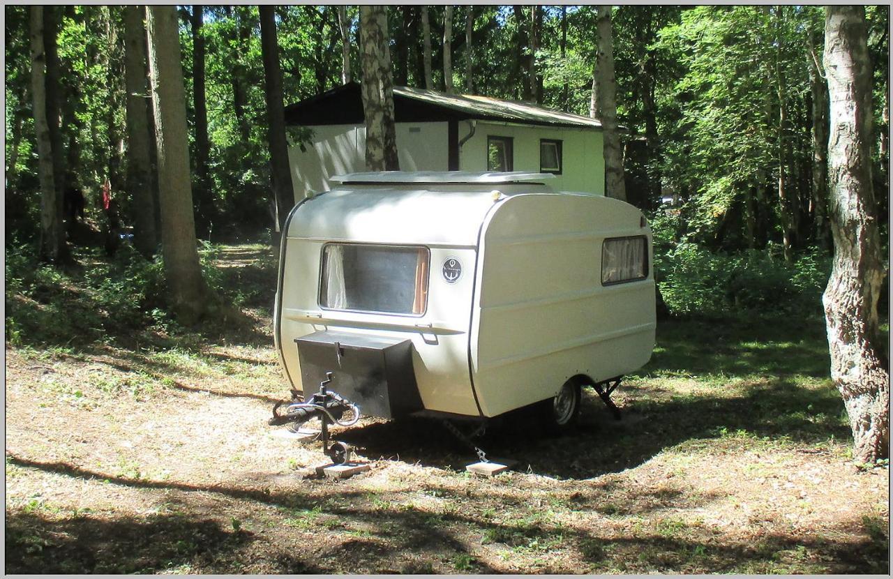 Ddr Wohnwagen Qek Direkt Am Strand Dranske Kültér fotó